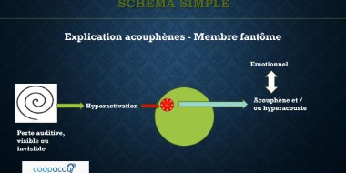 Premier  symposium français consacre aux acouphenes  du 16 decembre 2023 